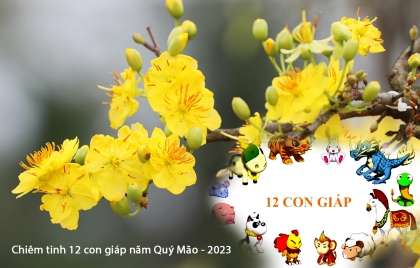 Chiêm tinh 12 con giáp năm Quý Mão - 2023
